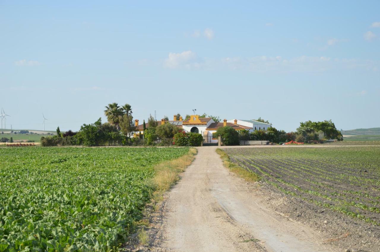 Cortijo Las Manoteras El Puerto de Santa María Dış mekan fotoğraf